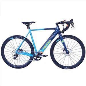 Escape Electric Racing Bike