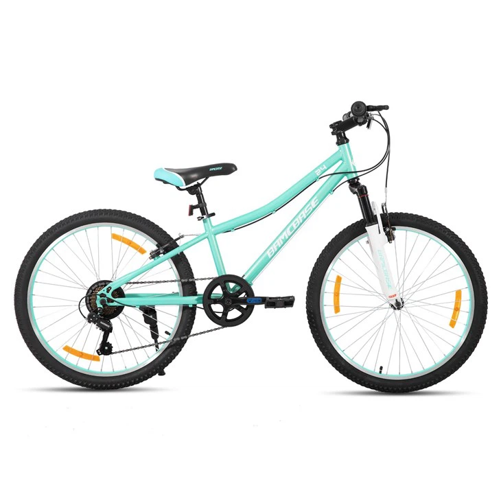 JOYKIE HILAND High Quality 24 Inch 7 Speeds Steel Double V- Brake Mountain Bike Bicycle For Adult factory