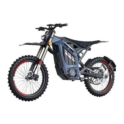 70km/h 19INCH E moto bicikl