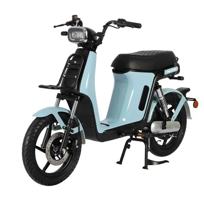 F: DISK KOČNICA R: DUB KOČNICA Električni motocikl za djevojčicu