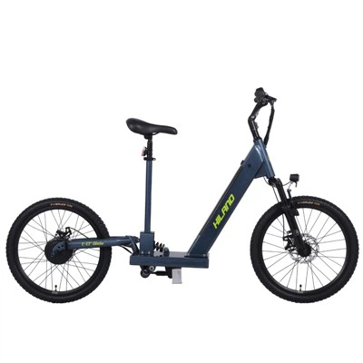 Joykie 22inch električni skuter Svi terenski skuter za odrasle Uklonjiva baterija 25km / h Električni dječji bicikl